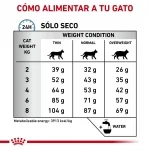 Royal Canin Veterinary Diets-Anallergenic Feline (1)