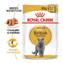 Royal Canin British Shorthair Comida Húmeda Para Gatos