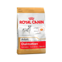 Royal Canin-Dalmata Adulto (1)