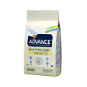 Affinity Advance-Young Sterilised (3)