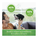 Greenie Pack Original Medium pour Chien