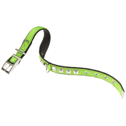 Collar Dual para perros Green Black Ferplast