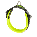 Collier Ergofluo pour chiens Jaune Ferplast