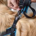 Arnes Agila Fluo para perros Ferplast