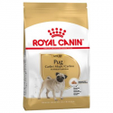 Royal Canin-Carlin Adulte (1)