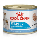Royal Canin-Starter Mousse Gestation/allaitement (1)