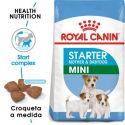 Royal Canin-Mini Starter Gestation/Allaitement (1)