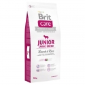 Brit care junior large breed cordero arroz pienso para perros