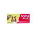 Stangest-Fortifiant Naturel pour Chien et Chat (1)