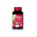 Stangest-Fortifiant Naturel pour Chien et Chat (1)
