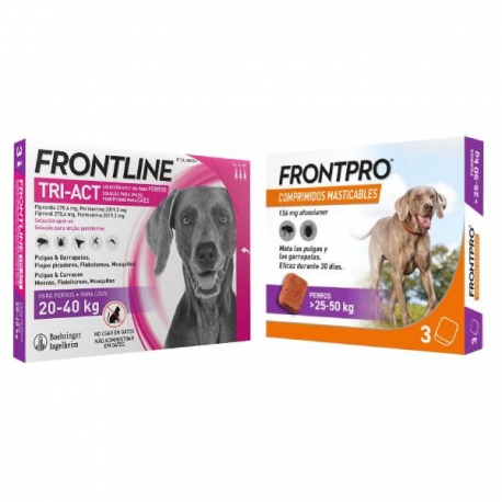 Pack Super Protection : Frontpro Comprimés Mâchables 25-50kg + Frontline Tri-Act 3 Pipettes (20-40kg) chiens taille grande