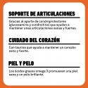 Pienso Plet para Perro Adulto - Salmón con arroz