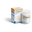 Prolivet Protector hepatico para perros y gatos