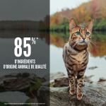 Croquettes 6 Poissons pour Chat
