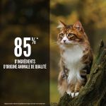 Croquettes Orijen Regional Red pour chats adultes