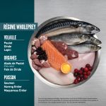 Croquettes Orijen Guardian pour chats adultes au poulet