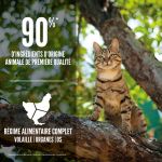 Croquettes Orijen Guardian pour chats adultes au poulet