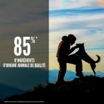 Croquettes Orijen Original pour chiens adultes au poulet