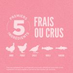 Croquettes Orijen pour chiens adultes de petite taille au dinde et poulet