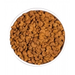 Ownat Classic-Feline Hairball (1)