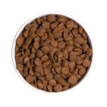 Ownat Ultra-Medium Sterilised (1)