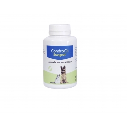 Stangest-Condrocit pour Chien et/ou Chat (1)
