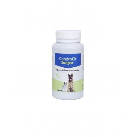 Stangest-Condrocit pour Chien et/ou Chat (1)