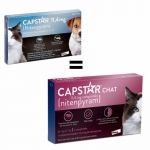 Elanco-Capstar pour Chiens Petits et Chats (1)