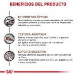 Royal Canin Veterinary Diets Kitten Gastro Intestinal Pack de Comida Húmeda para gatitos
