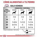 Royal Canin Veterinary Diets Renal Special Pack de Comida Húmeda para perros
