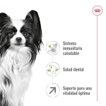 Royal Canin-X-Small Ageing +8 Races Miniatures (1)