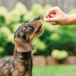 Beaphar VERMIpure comprimidos naturales parásitos internos para perros pequeños