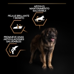 Purina Pro Plan-Croquettes OptiHealth Adulte Robuste Grandes (1)