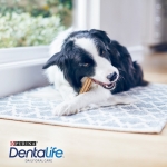 Purina Pro Plan Snack Dentalife para Perros Medium
