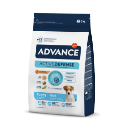 Affinity Advance-Chiot Petites Races (1)