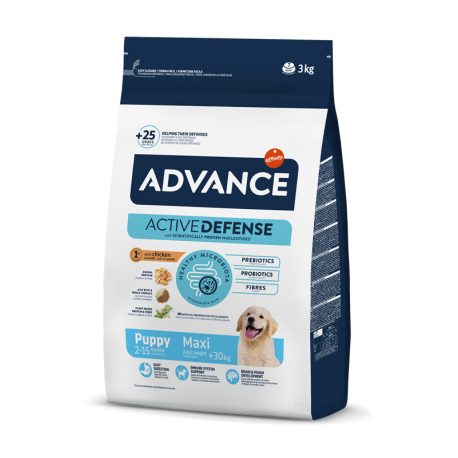 Affinity Advance-Chiot Grandes Races (1)