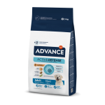 Affinity Advance-Adulte Grandes Races (1)