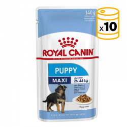 Royal Canin Maxi Puppy alimentation humide pour chiot de races grandes
