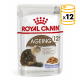 Royal Canin Ageing 12+ nourriture humide en gelée pour chats âgés