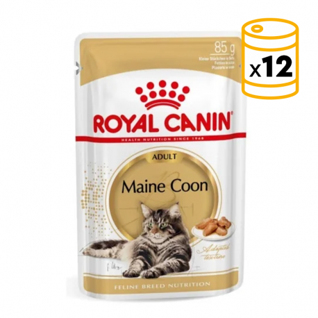 Royal Canin-Maine Coon Pouch 85 gr (1)
