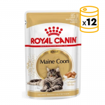 Royal Canin-Maine Coon Pouch 85 gr (1)