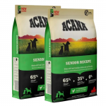 Chien Senior (6)