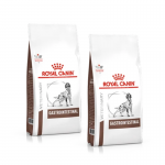 Royal Canin Veterinary Diets-Croquettes Gastro Intestinal GI25 (1)