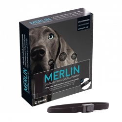 Merlin Collier antiparasitaire pour chien