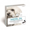 Collier Antiparasitaire Merlin de Calier pour Chiens Moyens et Petits