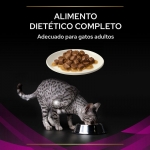 Pro Plan Veterinary Diets UR Urinary Comida Húmeda para Gatos con Pollo