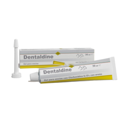 Fatro-Stomodine Dentifirce pour Chien et Chat (1)