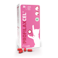 farmadiet-Profilaxcel pour Chien et Chat (1)