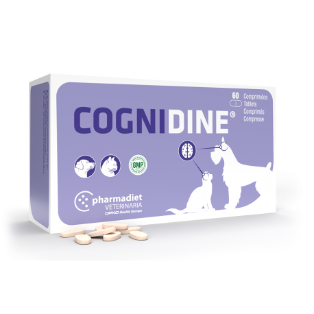 Cognidine Suplemento neurologico perros y gatos