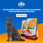 Farmina ND Cat Ancestral Grain Poulet croquettes pour chats